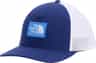 Colour: Bold Blue-Active Blue