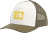 Colour: Caraway Seed-Pigment Yellow