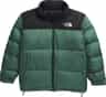 Couleur: Duck Green - TNF Black