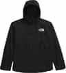 Colour: TNF Black