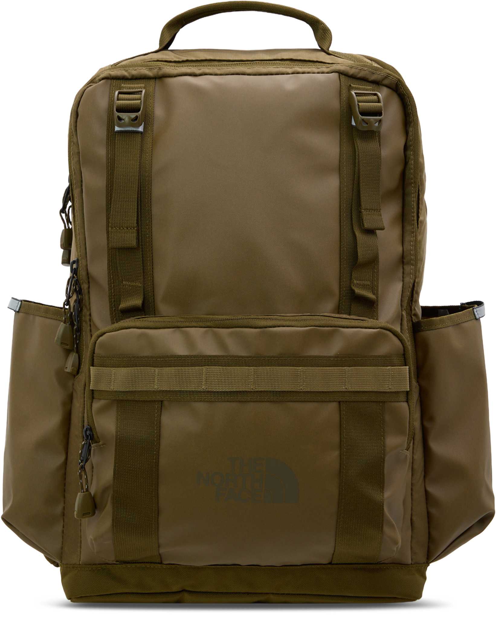 Caraway Seed - Sycamore