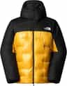 Colour: Summit Gold - TNF Black
