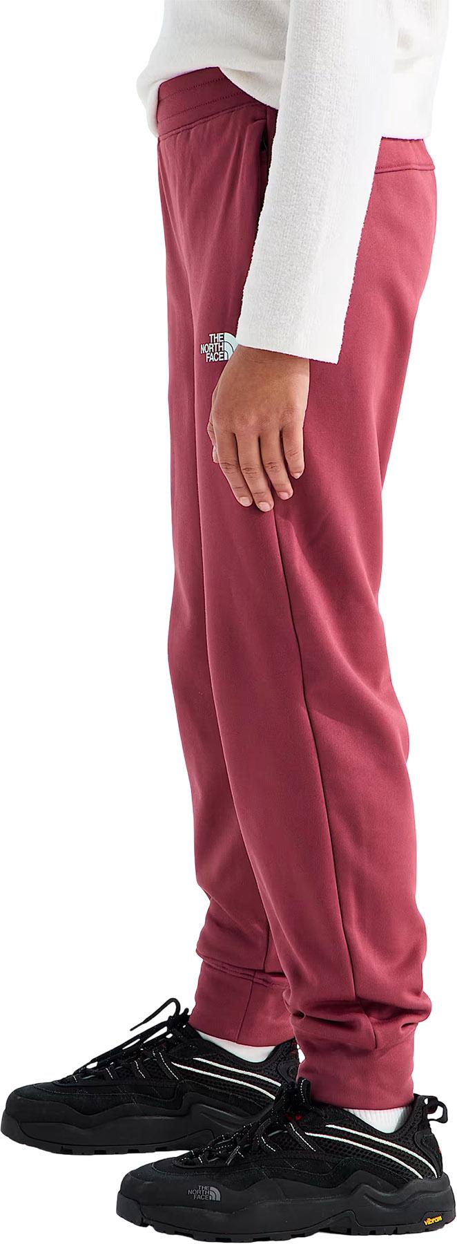 Product gallery image number 3 for product Boys’ & Girls’ TNF™ Performance Fleece Jogger