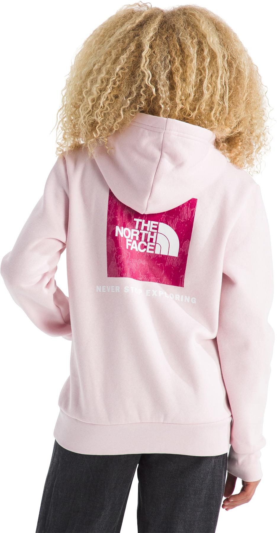 Product gallery image number 3 for product Evolution Box NSE Graphic Pullover Hoodie - Kids