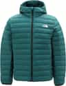 Colour: Pacific Teal