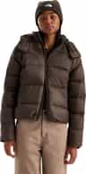 Colour: Dark Chestnut