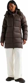 Colour: Dark Chestnut
