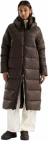 Colour: Dark Chestnut
