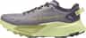 Couleur: Transcendent Grey - Pear