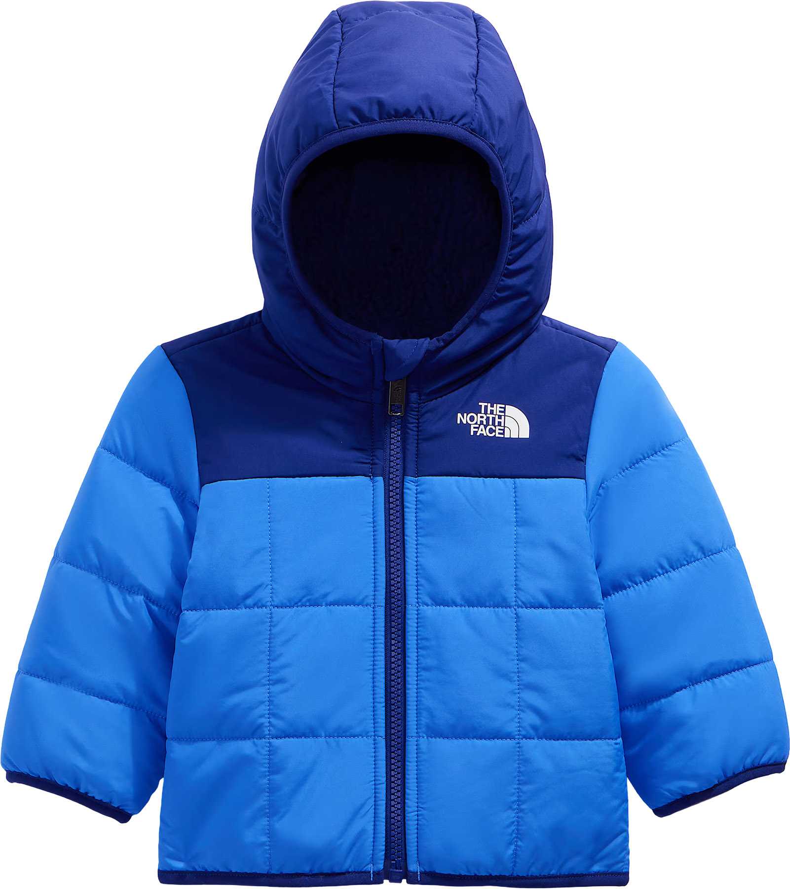 Active Blue-Bold Blue