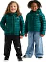 Colour: Pacific Teal