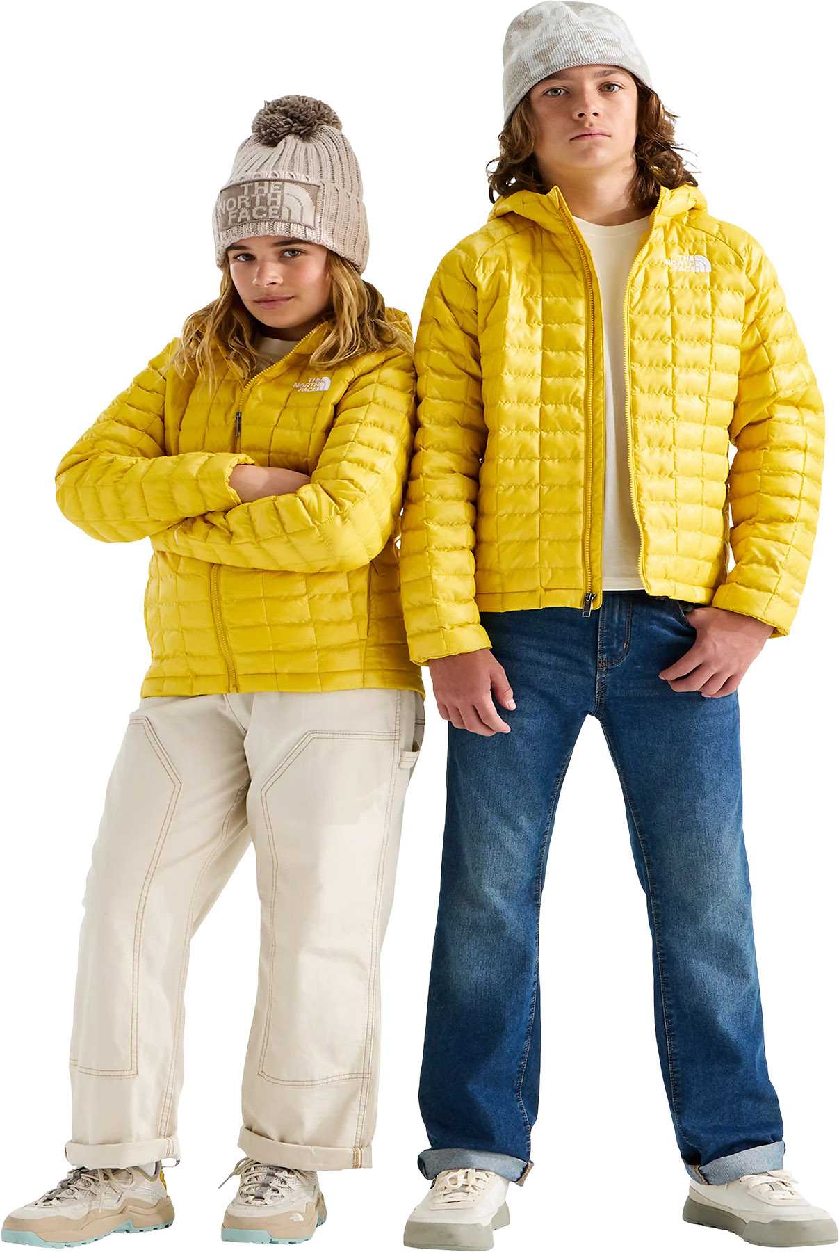 Pigment Yellow
