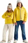 Colour: Pigment Yellow