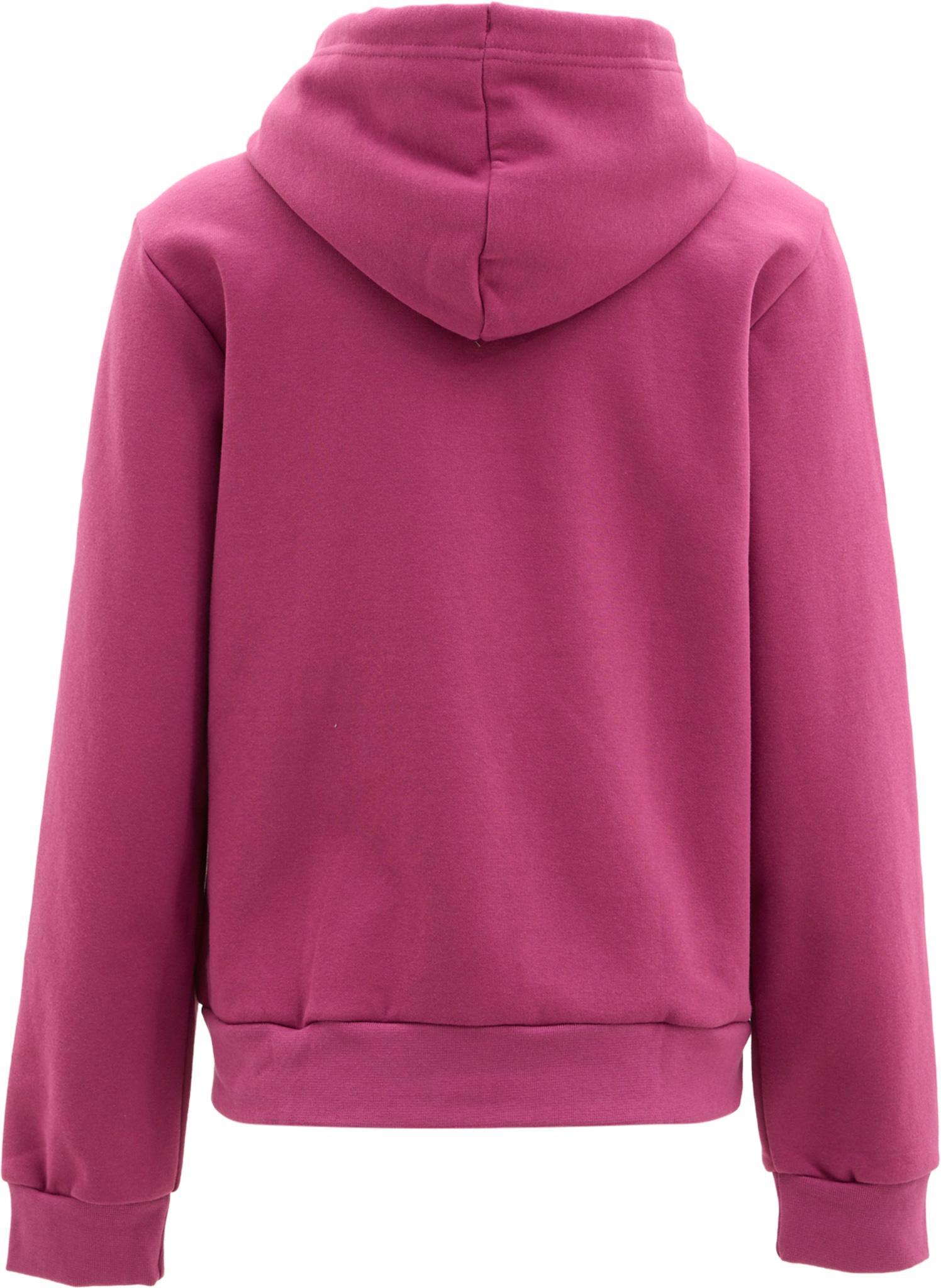 Product gallery image number 2 for product Evolution Half Dome Graphic Hoodie - Women's