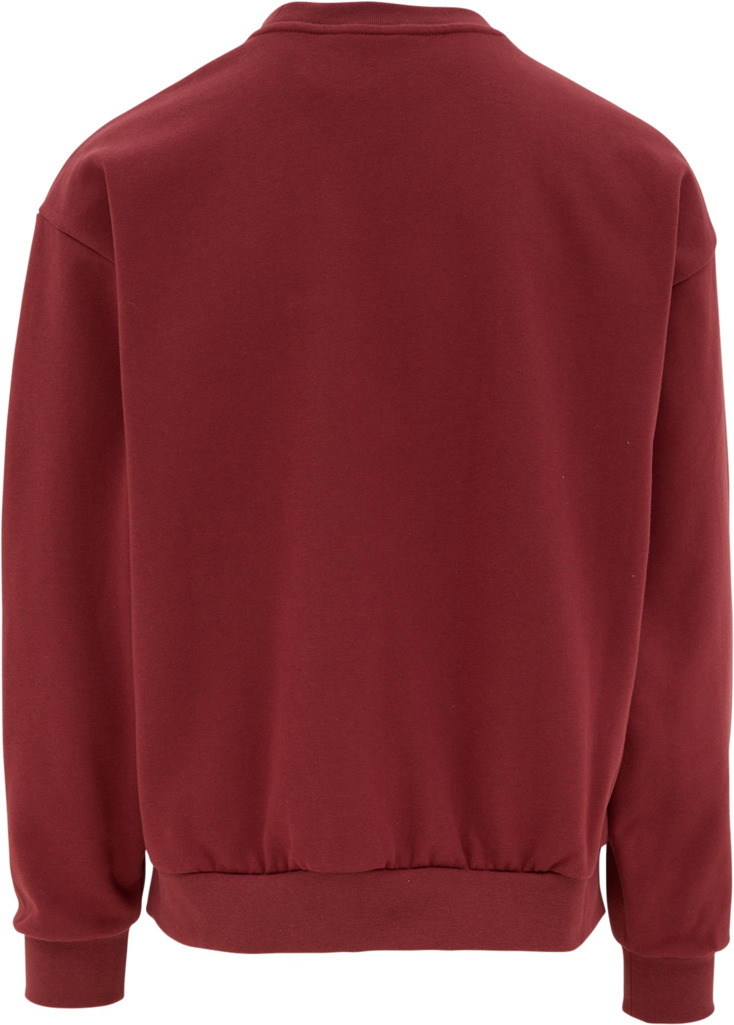 Product gallery image number 2 for product Evolution Simple Dome Oversized Crew Neck Sweatshirt - Men's