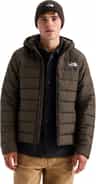 Colour: Dark Chestnut