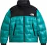 Colour: Restorative Teal - TNF Black