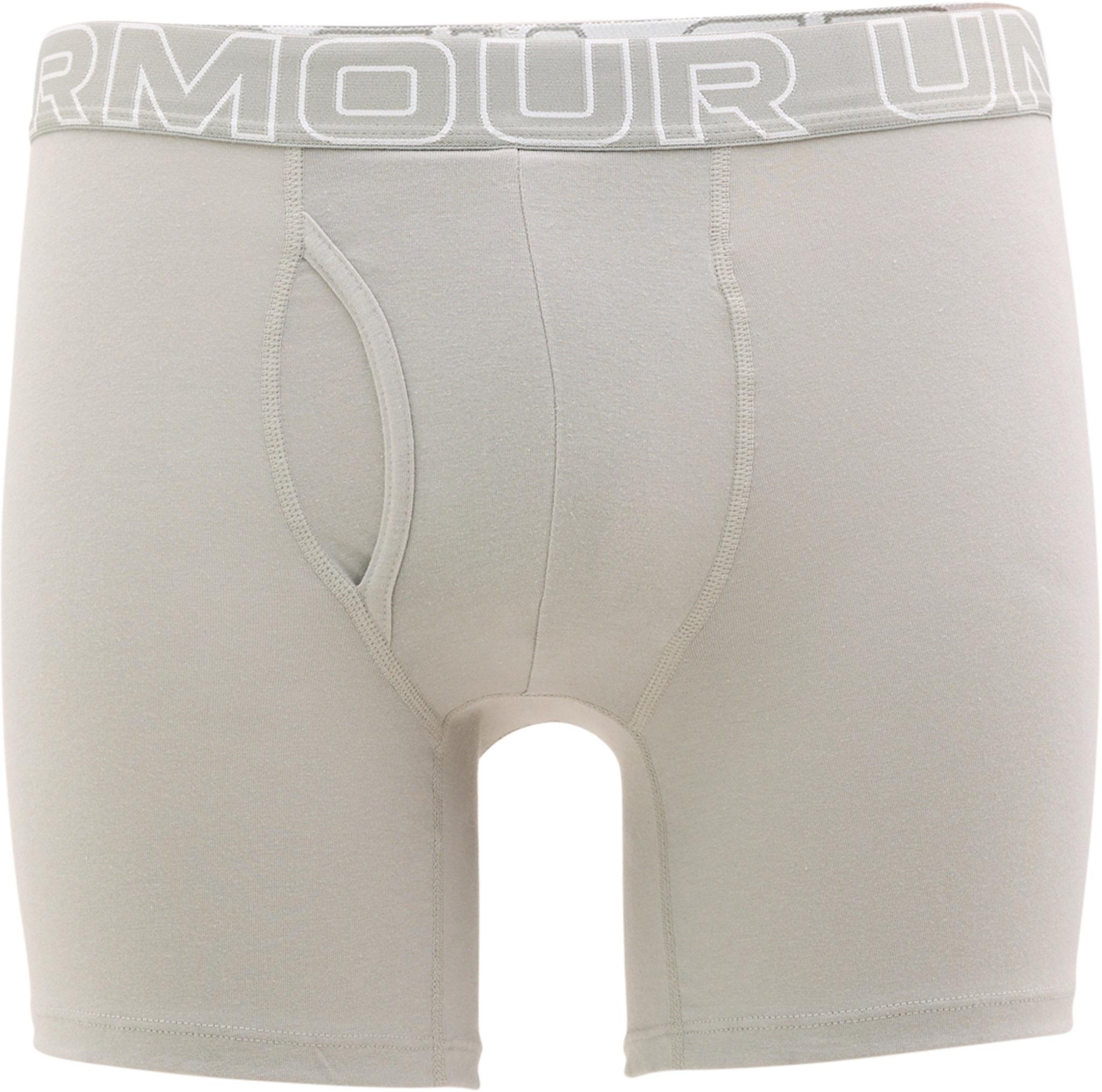 Numéro de l'image de la galerie de produits 3 pour le produit Caleçon boxeur paquet de 3 UA Performance Coton 6" - Homme