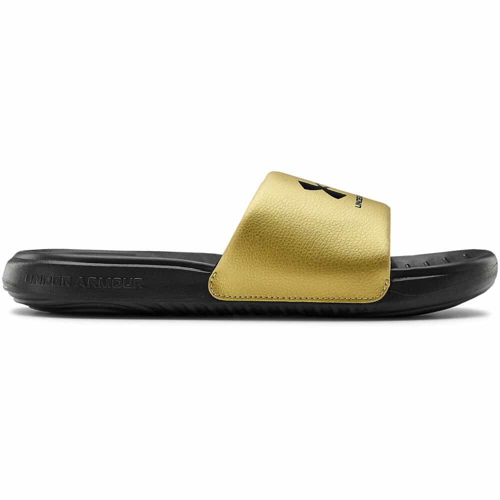 Black - Metallic Gold - Black
