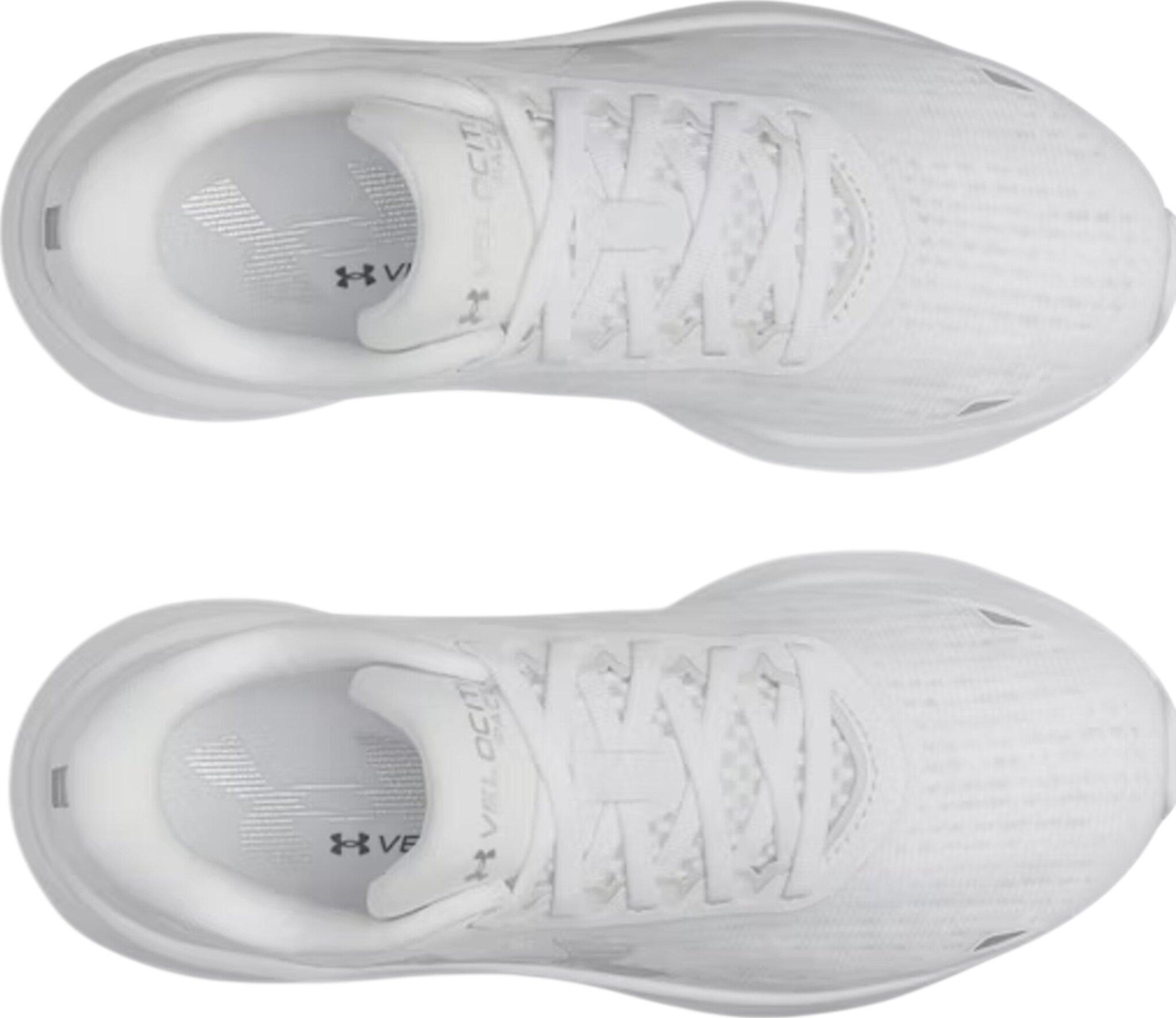 Product gallery image number 4 for product Souliers de course UA Velociti Rythme - Femme