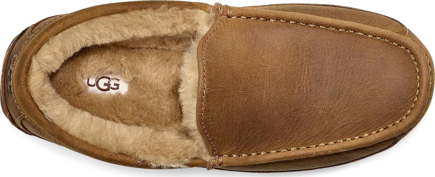 Product gallery image number 2 for product Ascot Slipper - Men's