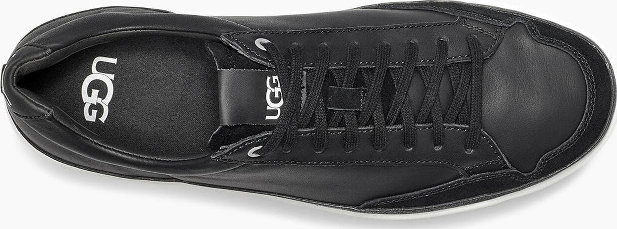 Product gallery image number 6 for product South Bay Low Trainer Shoes - Men's