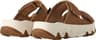 Colour: Chestnut