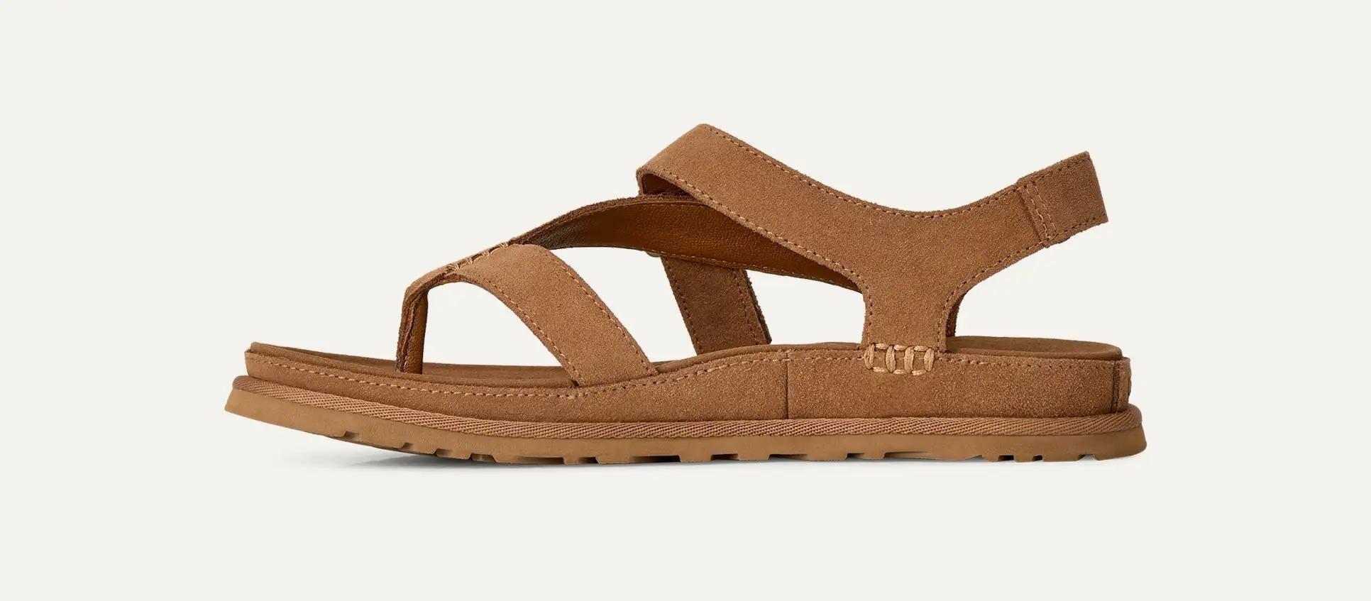 Product gallery image number 3 for product Goldengaze Toe Post sandals - Women's