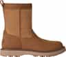 Colour: Chestnut