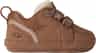 Couleur: Chestnut