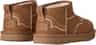Colour: Chestnut