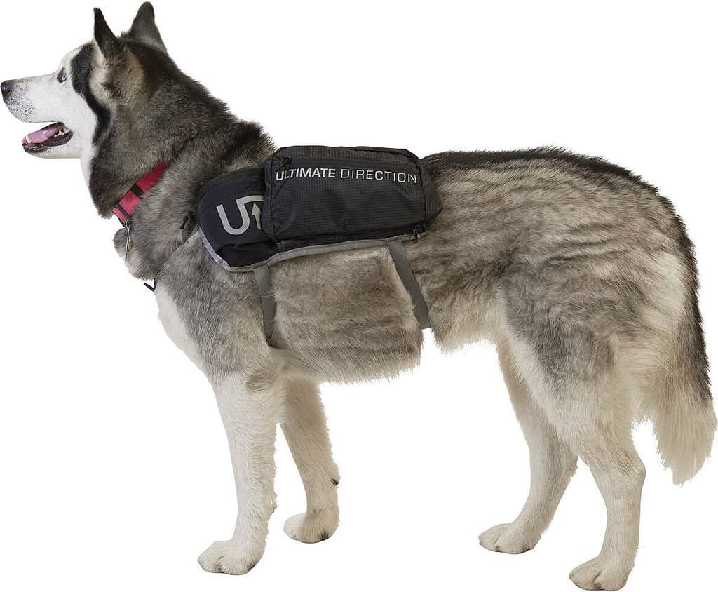 Product gallery image number 7 for product Dog Vest