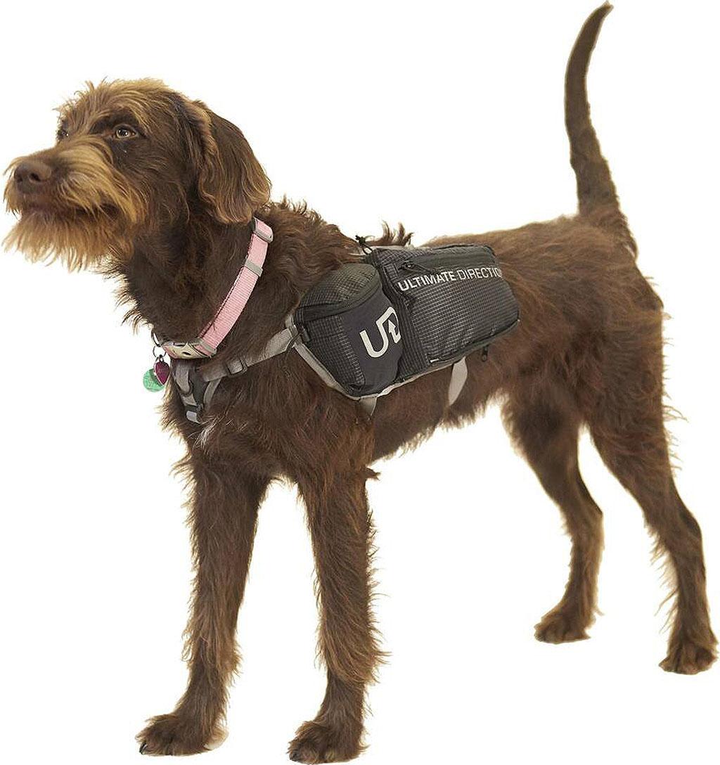 Product gallery image number 6 for product Dog Vest