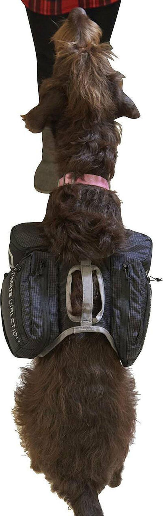 Product gallery image number 2 for product Dog Vest