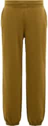 Colour: Fern