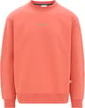 Colour: Coral Punch