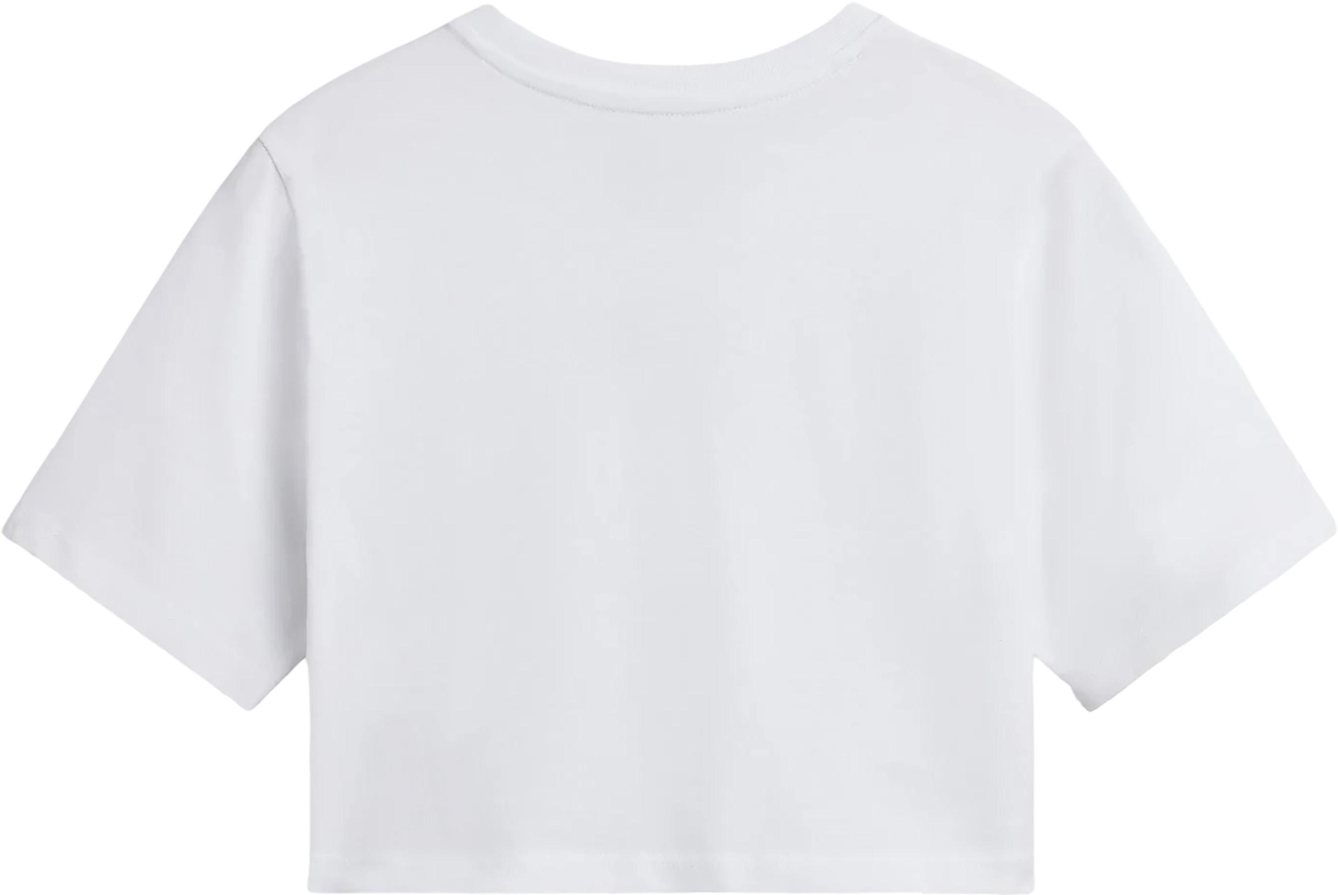 Product gallery image number 2 for product Flying V Crew Neck Crop T-Shirt - Women’s