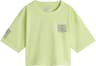 Colour: Shadow Lime