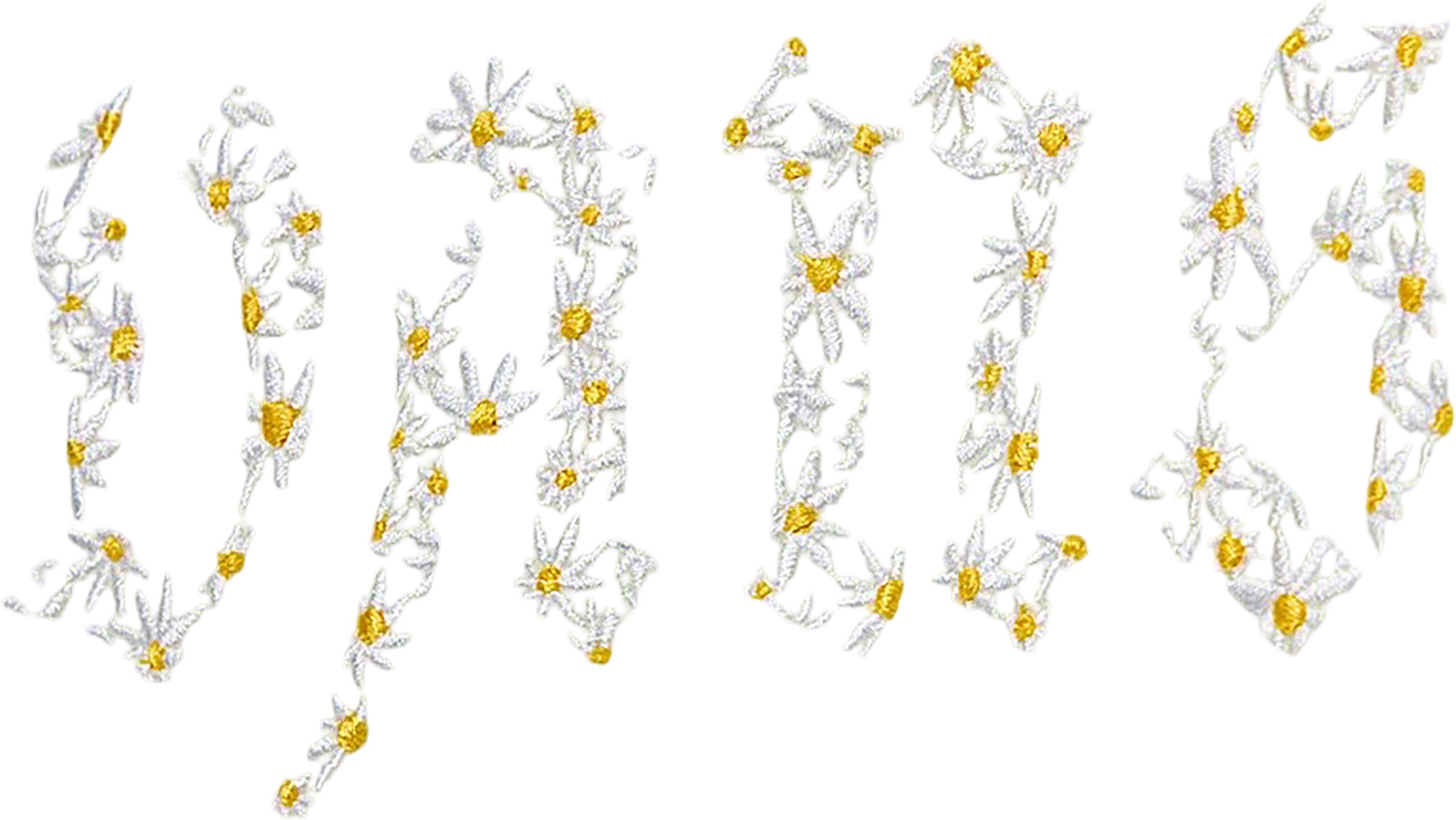 Numéro de l'image de la galerie de produits 2 pour le produit T-shirt à manches courtes et col rond Daisy Break - Fille