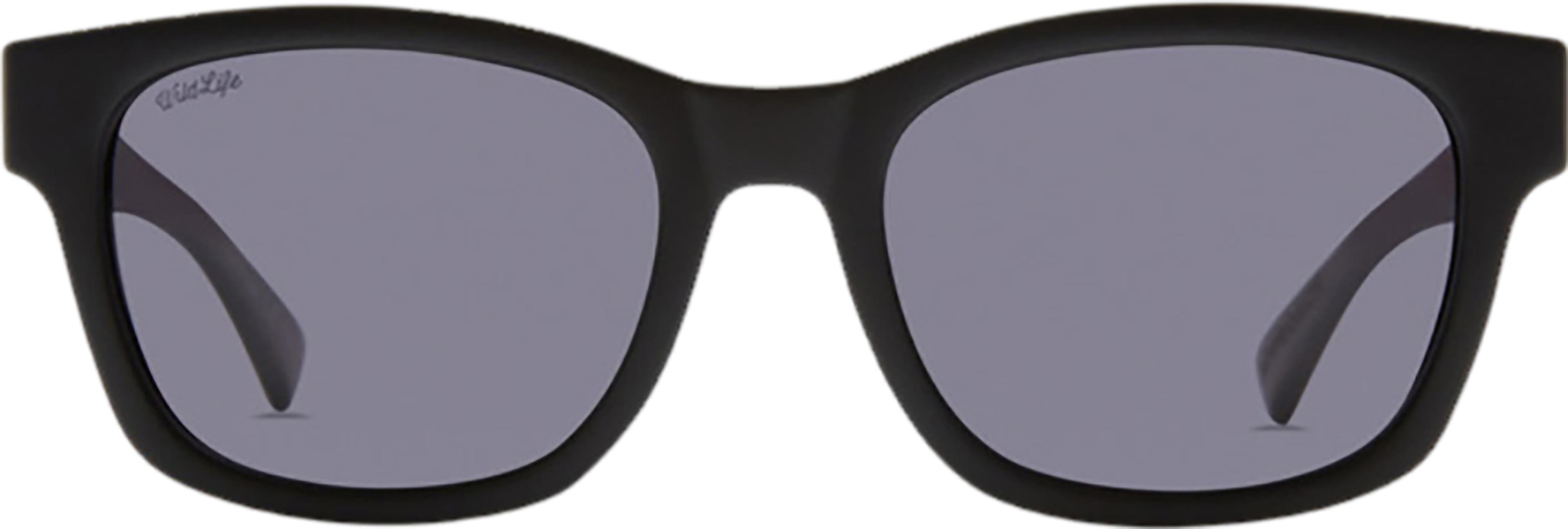 Product gallery image number 3 for product Approach Polarized Sunglasses - Men's