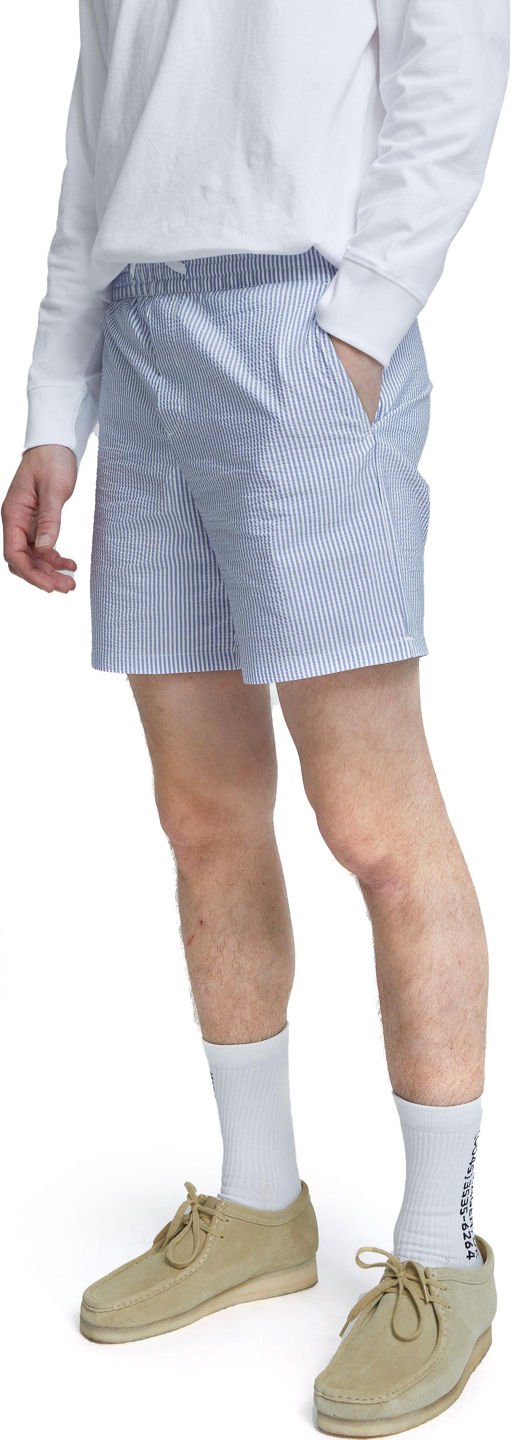 Product gallery image number 5 for product Roy Swim Shorts - Men's
