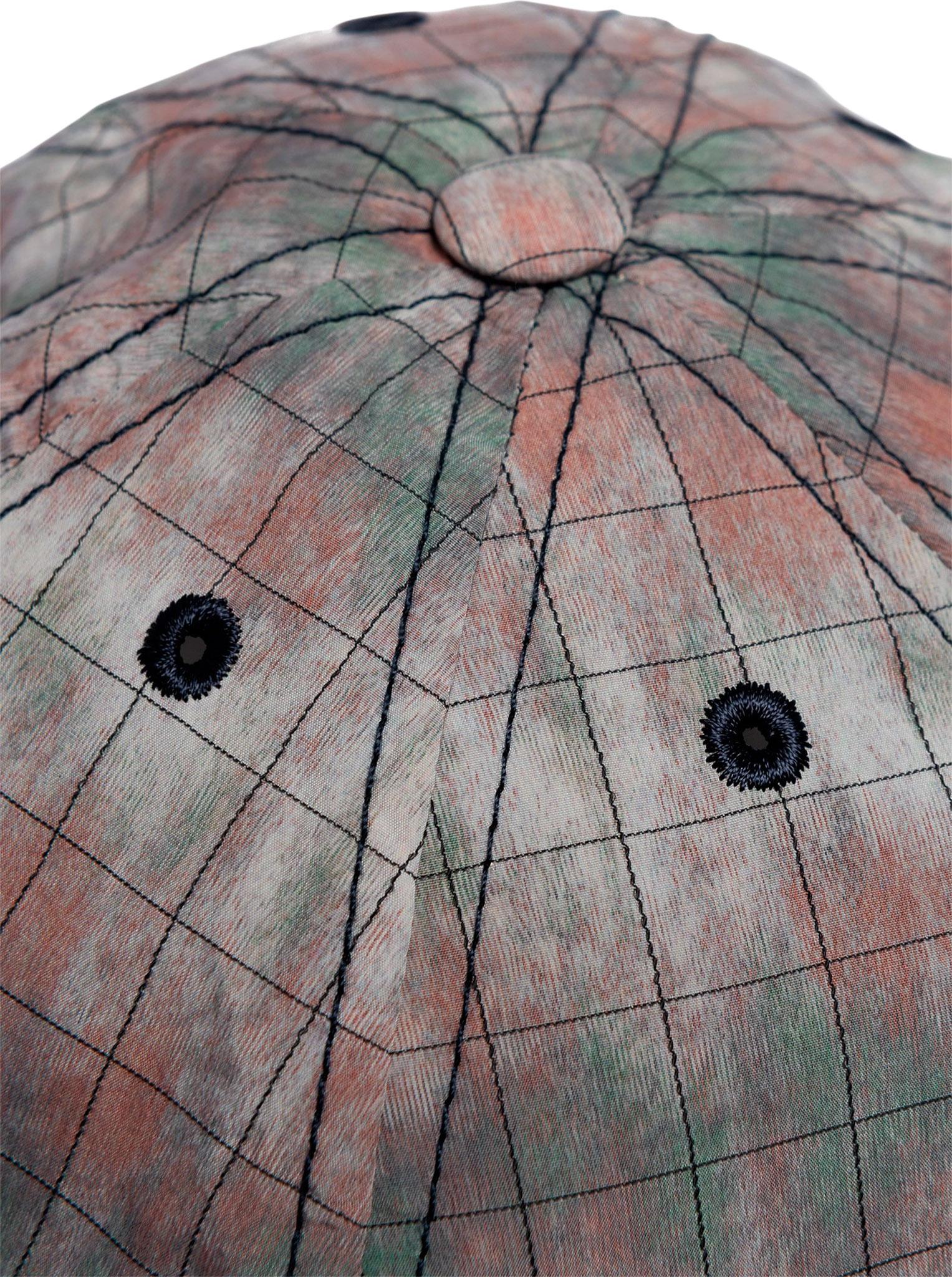 Numéro de l'image de la galerie de produits 3 pour le produit Casquette Low Profile Distorted Stripe - Homme