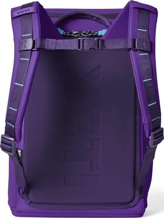 Product gallery image number 3 for product Daytrip Insulated Backpack 20L