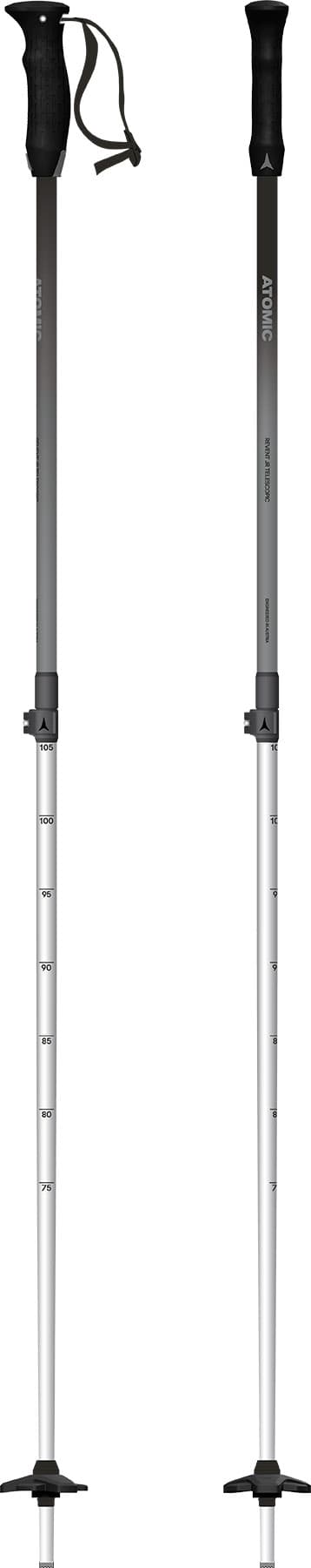Black Diamond Expedition 3 Ski Poles | Altitude Sports