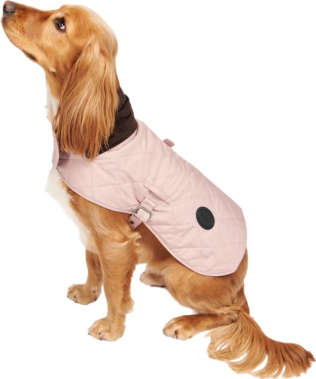 Barbour Quilted Dog Coat | Altitude Sports