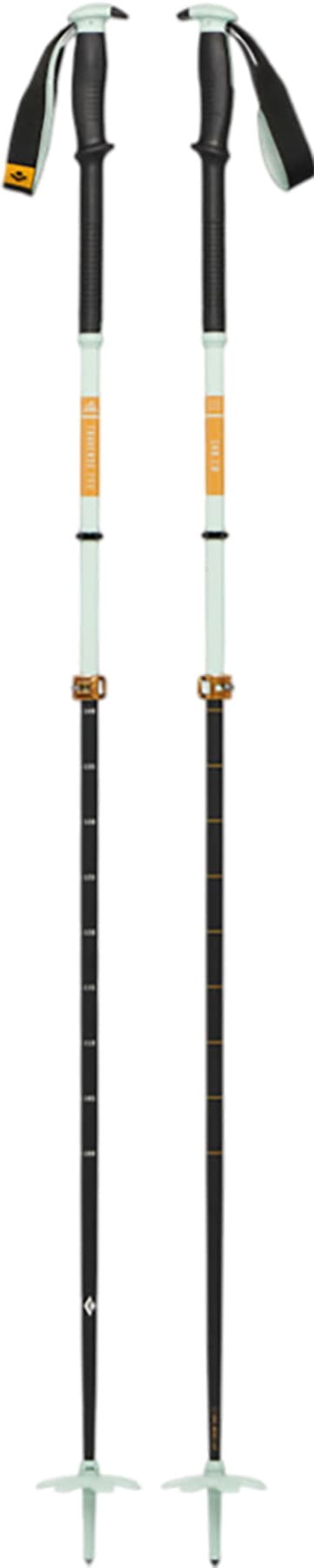 Black Diamond Expedition 3 Ski Poles | Altitude Sports