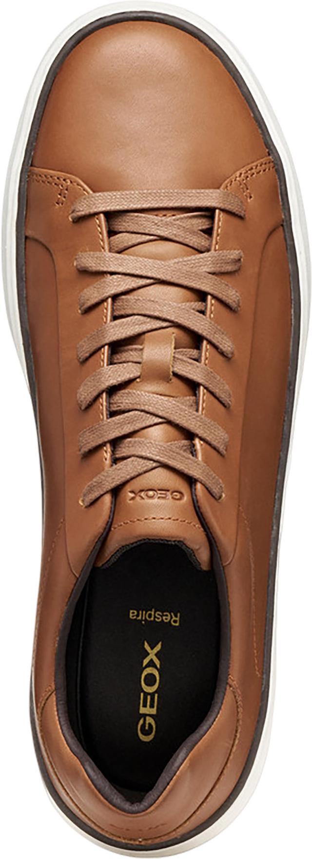 Geox Zackerty Low Top Sneakers - Men's | Altitude Sports