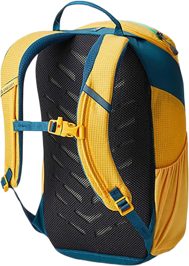 Gregory Wander Daypack 12L - Youth | Altitude Sports