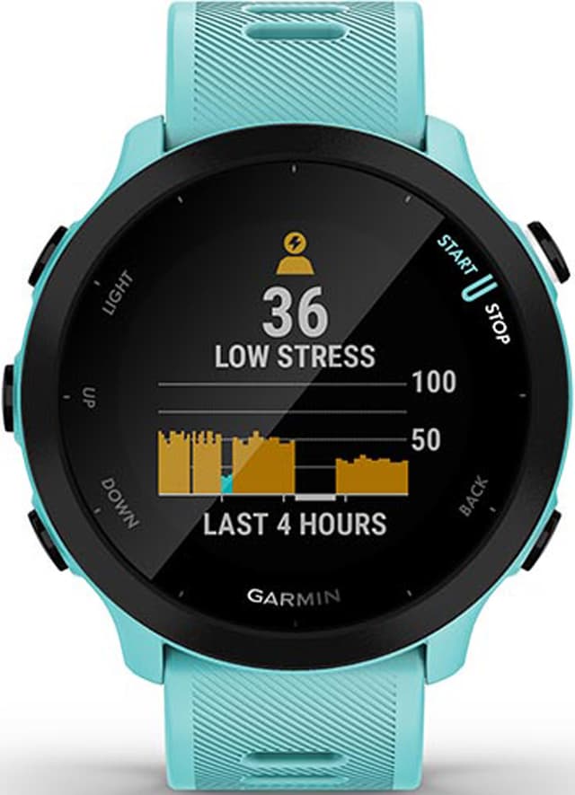 Garmin Forerunner 55 Watch - Unisex | Altitude Sports