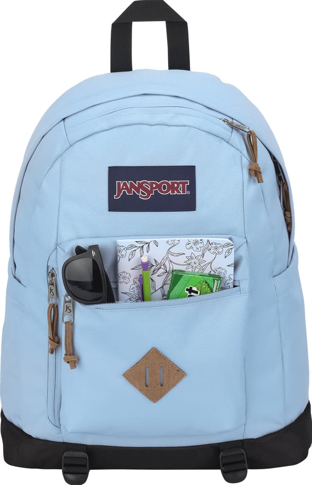 JanSport Lodo Pack 30L | The Last Hunt
